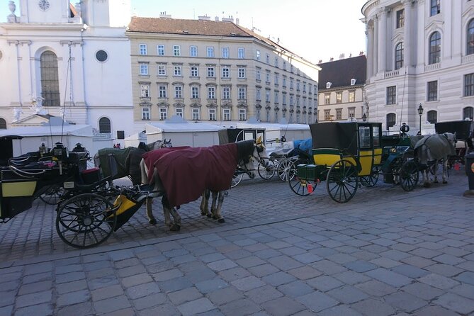 Private Transfer from Venice to Vienna or Vienna to Venice - A Private Venice–Vienna Transfer That Feels Like a Road Trip With Handles