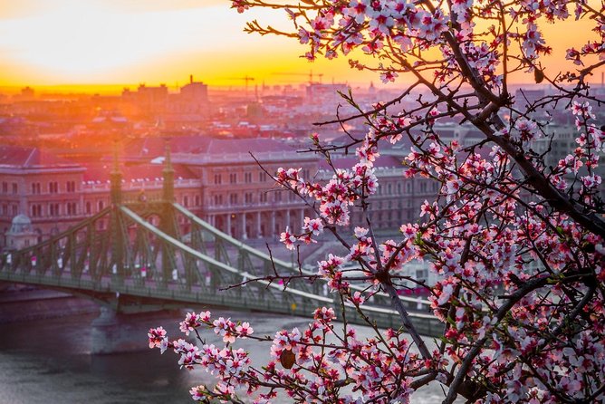 Private Transfer from Vienna to Budapest with 2 hours for sightseeing - Timing Tips: Make the 1- or 2-Hour Stop Work