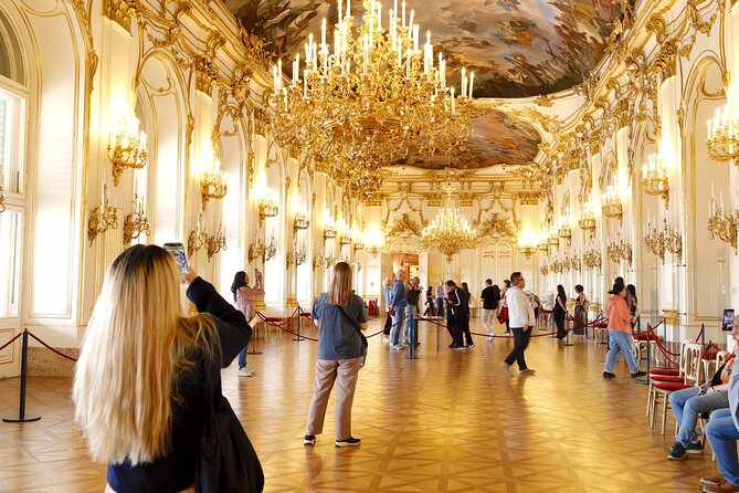 Private Vienna Full-Day Tour with Schönbrunn Palace Entry & Lunch - Key points before you go