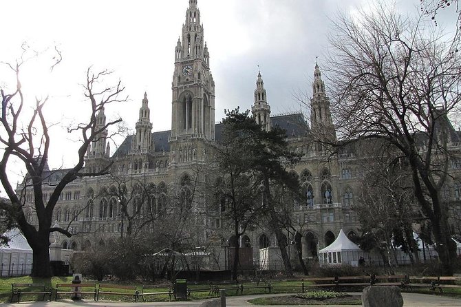 Private Vienna Historical Landmarks Tour - The driver experience: great when language and timing match