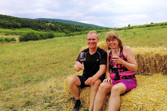 Private Vienna Woods Wine Tour - Stop 2 in Gumpoldskirchen: lunch rhythms and a winemaker-led tasting