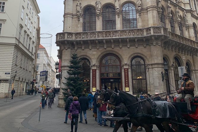 Private World War II Walking Tour in Vienna - Private guide quality: names you may hear, and how that affects your day