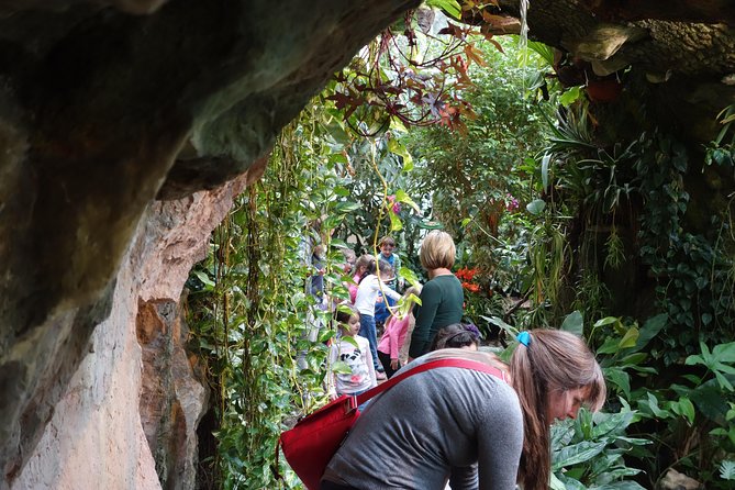 Schmetterlinghaus - Imperial Butterfly House Vienna Admission Ticket - The Film Screening and the Iconic Palm House Access