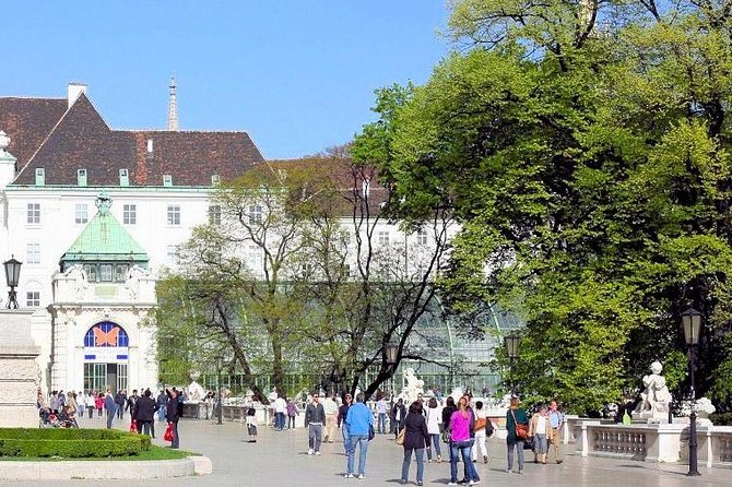 Schmetterlinghaus - Imperial Butterfly House Vienna Admission Ticket - Time It Right: A 15 to 59 Minute Attraction That Can Feel Longer