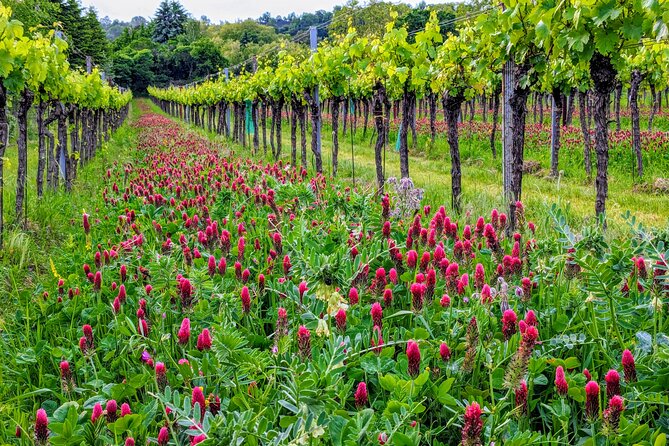 Small-group Vienna Wine Tour - Heuriger basics: what a “wine tavern” really means in Vienna