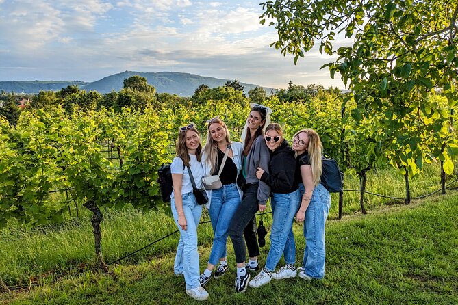 Small-group Vienna Wine Tour - Vineyard walking: the view-side of learning