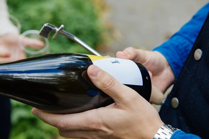 Taste and Tour Small Organic Wineries with a Winemaker - Stop 4: WeinSchach in Langenlois (Pet Nat Experiments with Biological Production)
