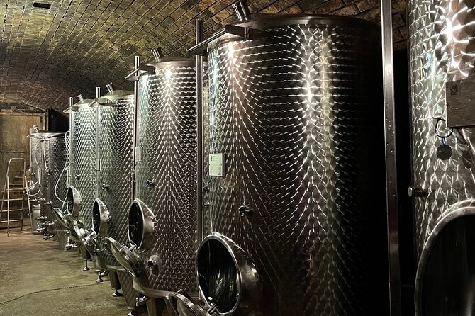 Taste and Tour Small Organic Wineries with a Winemaker - Stop 5: Welterbesteig Viewing Point (A Quick Walk That Lands the Day)