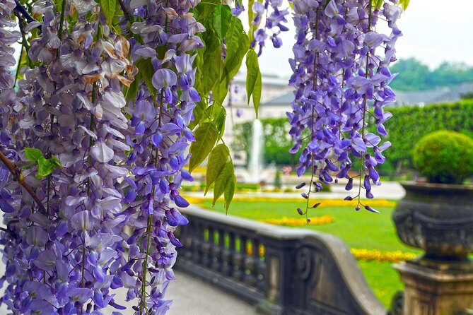 Transfer from Vienna to Salzburg with 2 hours for sightseeing - Why this private transfer feels easier than train-hopping