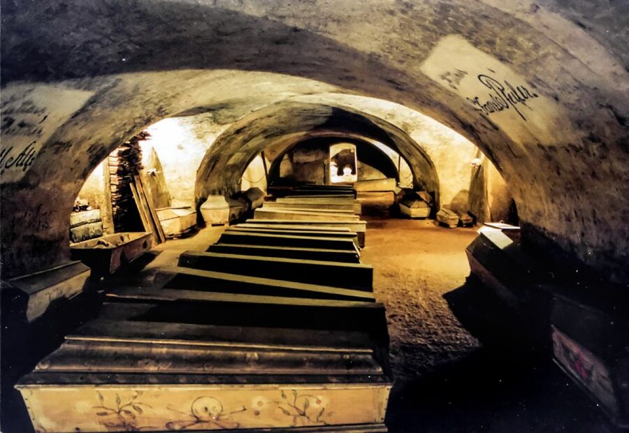 Vienna: 1.5-Hour Underground Walking Tour - Michaelerplatz Excavation: Roman Walls, a Cellar, and 2,000 Years in One Spot