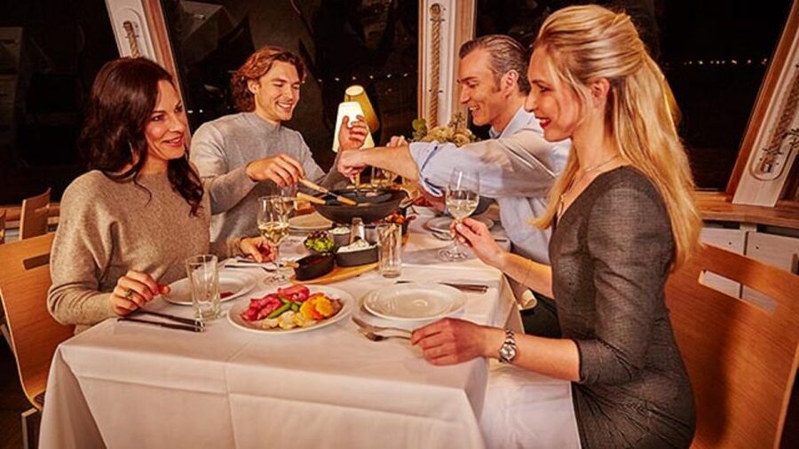 Vienna: 3,5-Hour Danube Cruise "Greek Night" - The Route: From Reichsbrücke Up Toward Greifenstein