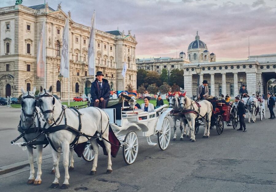 Vienna: 30-Minute Fiaker Ride in the Old Town - Key highlights worth planning for