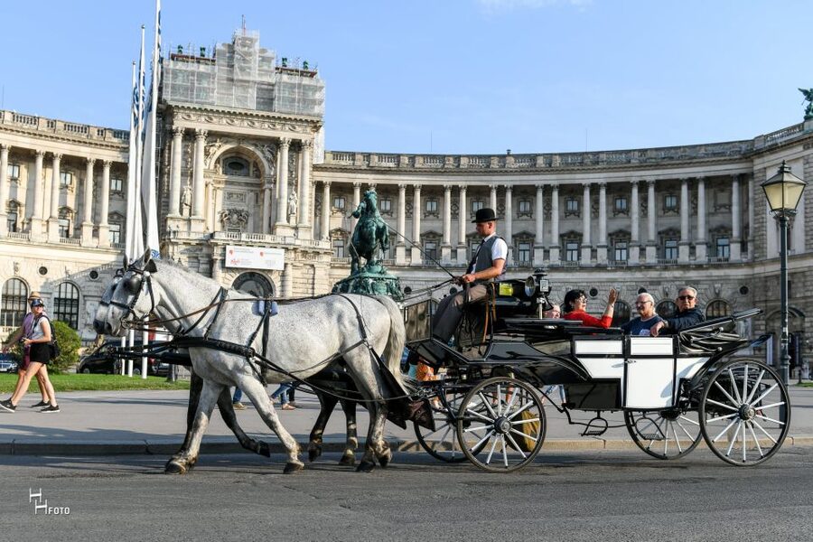 Vienna: 30-Minute Fiaker Ride in the Old Town - Where you meet your Fiaker: St. Stephen’s Cathedral vs. Michaelerplatz