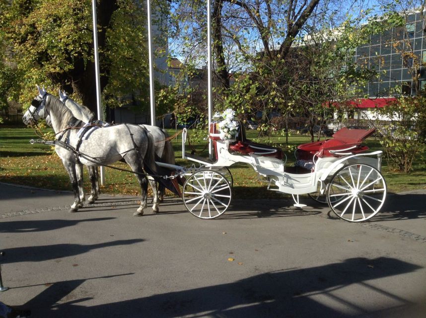 Vienna: 30-Minute Fiaker Ride in the Old Town - The Parliament and Town Hall square: Greek style and city events