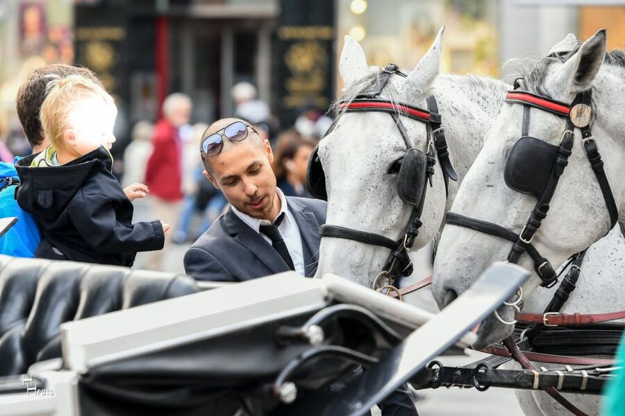 Vienna: 30-Minute Fiaker Ride in the Old Town - Coachmen, horses, and how to get the best from the ride