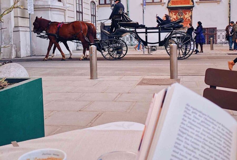 Vienna: 30-Minute Fiaker Ride in the Old Town - 30 minutes on the Ring: from St. Stephen’s to the Hofburg