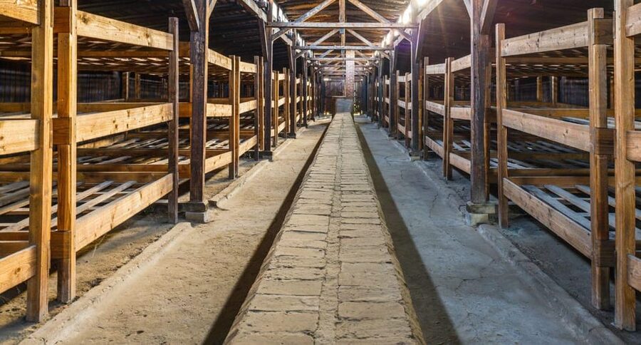 Vienna: Auschwitz Birkenau Full-Day Tour w/ Hotel Transfers - Should You Book the Vienna-to-Auschwitz Birkenau Full-Day Tour?