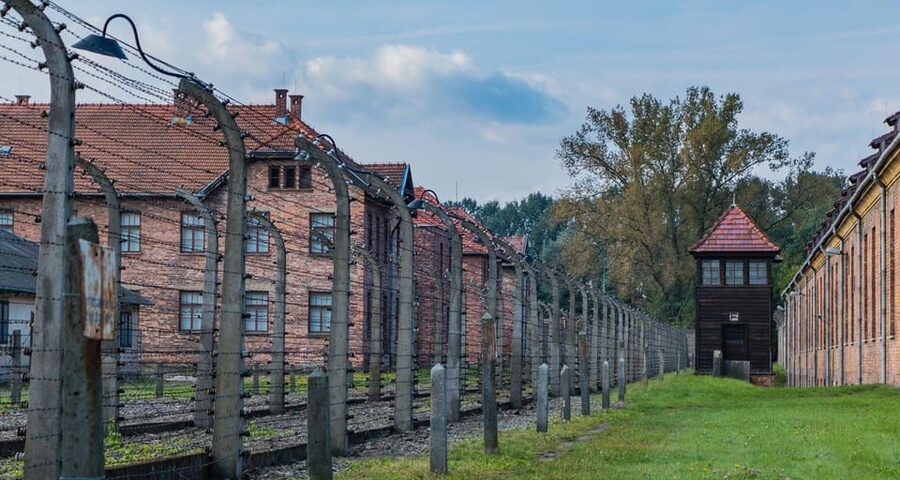 Vienna: Auschwitz Birkenau Full-Day Tour w/ Hotel Transfers - Auschwitz II-Birkenau: Barracks, Watchtowers, and the Ruins of the Gas Chambers
