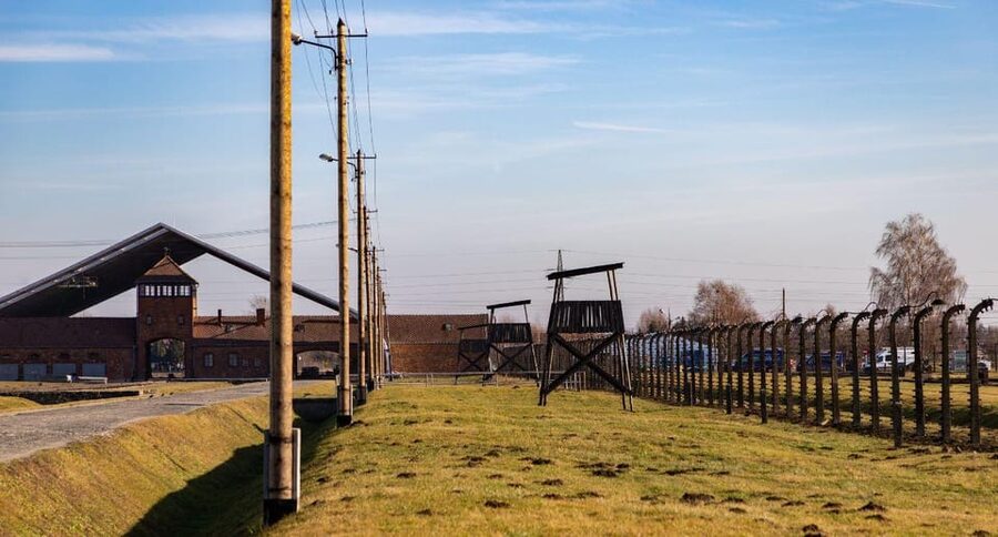 Vienna: Auschwitz Birkenau Full-Day Tour w/ Hotel Transfers - Who This Tour Fits Best (and Who Might Want to Rethink It)