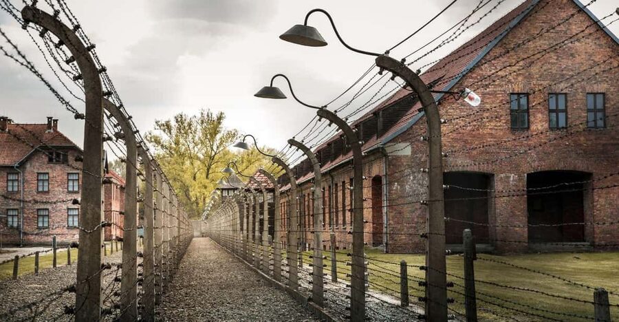 Vienna: Auschwitz Birkenau Full-Day Tour w/ Hotel Transfers - Practical Tips for a Day This Heavy
