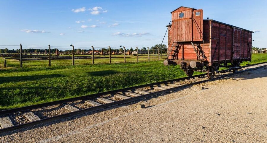 Vienna: Auschwitz Birkenau Full-Day Tour w/ Hotel Transfers - Arrival and Entry: Skip-the-Line Plus a Clear English-Language Guide
