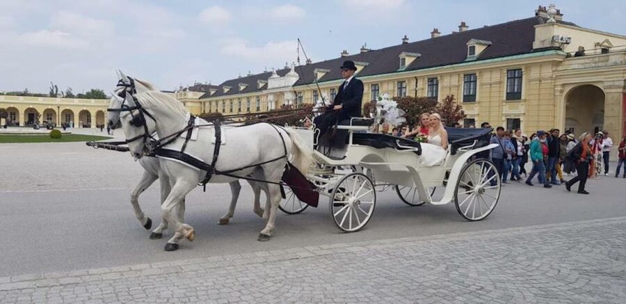 Vienna: Carriage Ride Through Schönbrunn Palace Gardens - Key things I’d circle before you go
