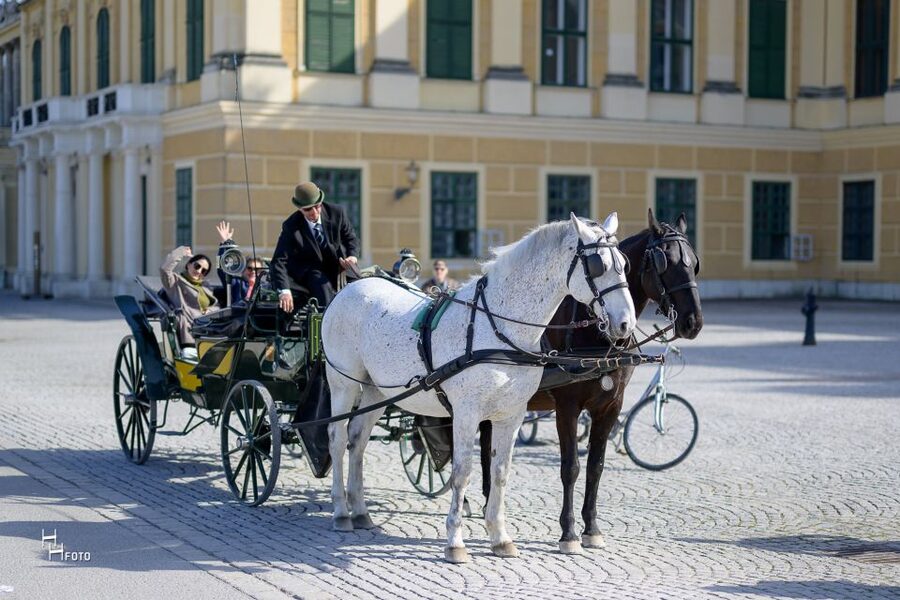 Vienna: Carriage Ride Through Schönbrunn Palace Gardens - A 30-minute Fiaker ride that actually shows the gardens