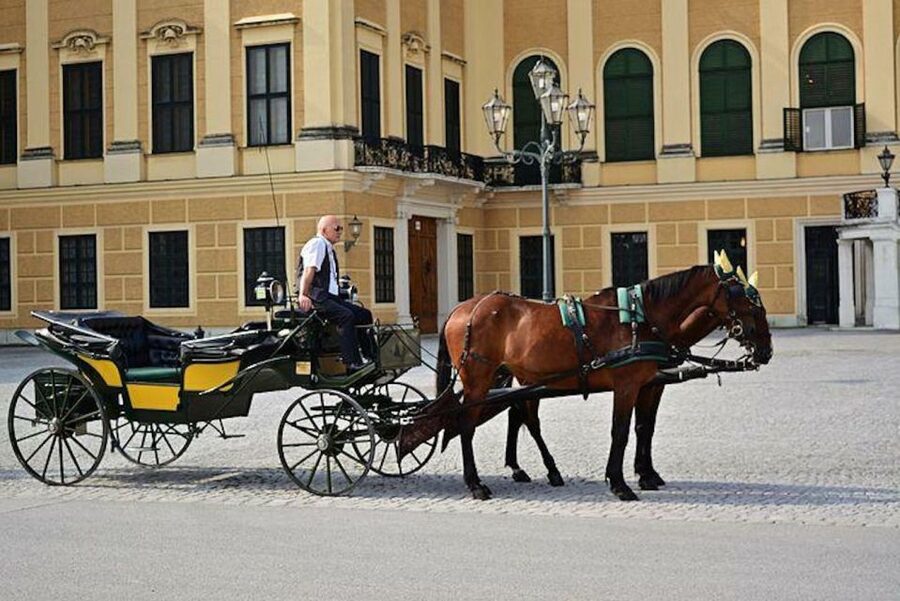 Vienna: Carriage Ride Through Schönbrunn Palace Gardens - The big sights: Neptune Fountain, Obelisk, Orangerie, and Gloriette