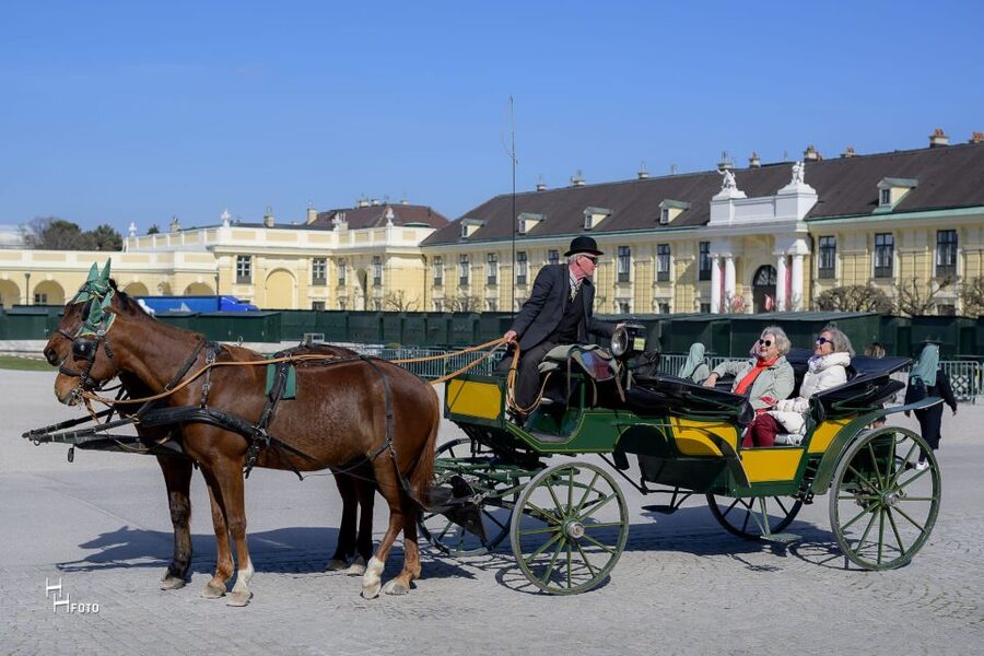 Vienna: Carriage Ride Through Schönbrunn Palace Gardens - Price and value: $108 for a private group up to 4