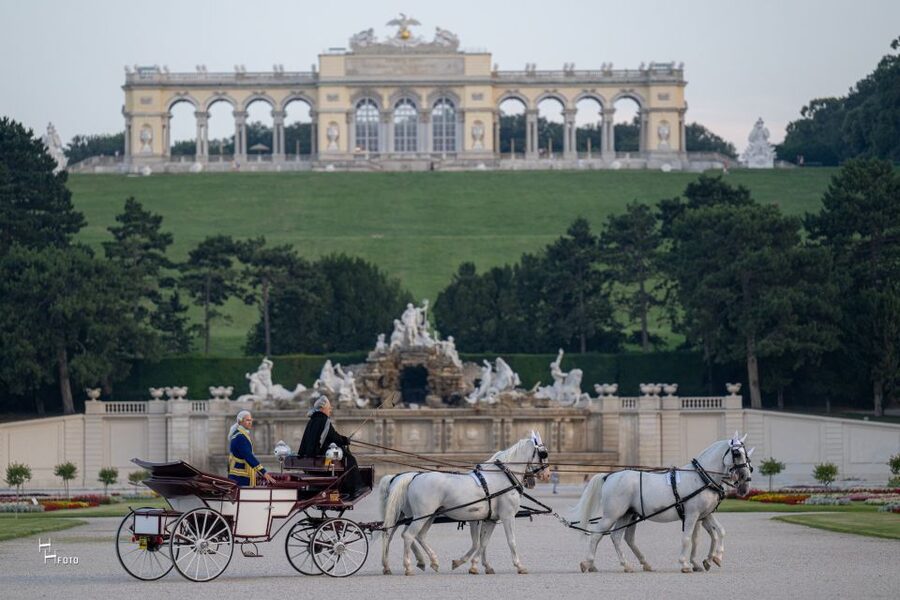 Vienna: Carriage Ride Through Schönbrunn Palace Gardens - Booking and flexibility: what the policy means for you
