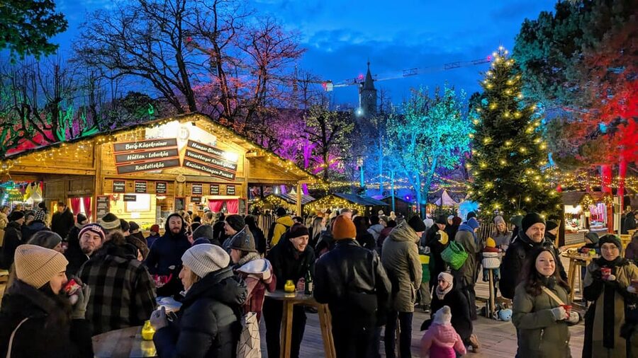 Vienna: Christmas Market Food and Drinks Tour - Stop 3 near the old university campus: cozy savory comfort food