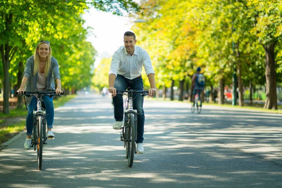 Vienna: City Highlights Guided Bike Tour - What the Guide Really Adds (Including Real Names You Might Hear)