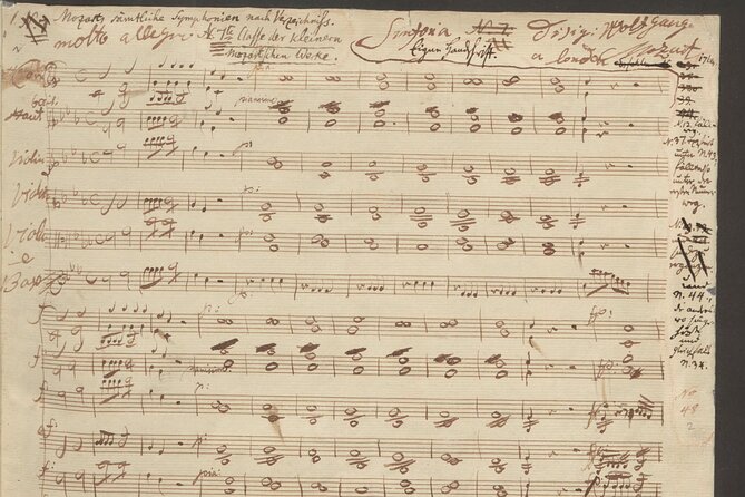 Vienna: City of Music Private Walking Tour - Stop 4: Wiener Staatsoper area and Vienna’s present-day musical power