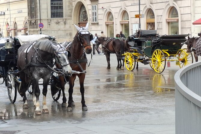 Vienna City Walk 3h - Unpacked & Hidden Places (DE/EN) - Spanish Riding School, Albertina’s Darker Angle, and the Opera House Finale