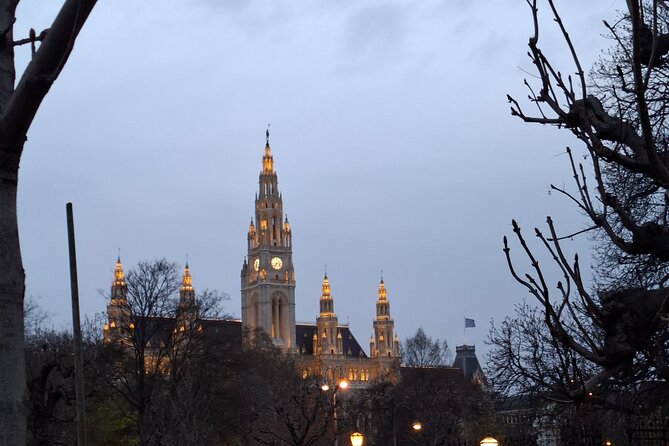 Vienna City Walk 3h - Unpacked & Hidden Places (DE/EN) - Stephansdom Legends, the Pestsäule, and Peterskirche’s Baroque Show