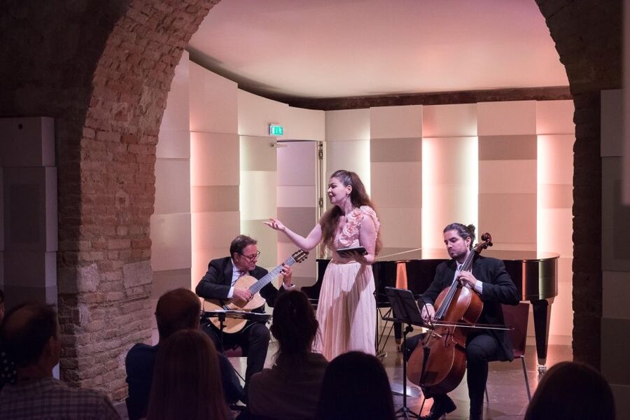 Vienna: Classical Concert at Mozarthaus with Museum Entry - Who should book this and who should think twice