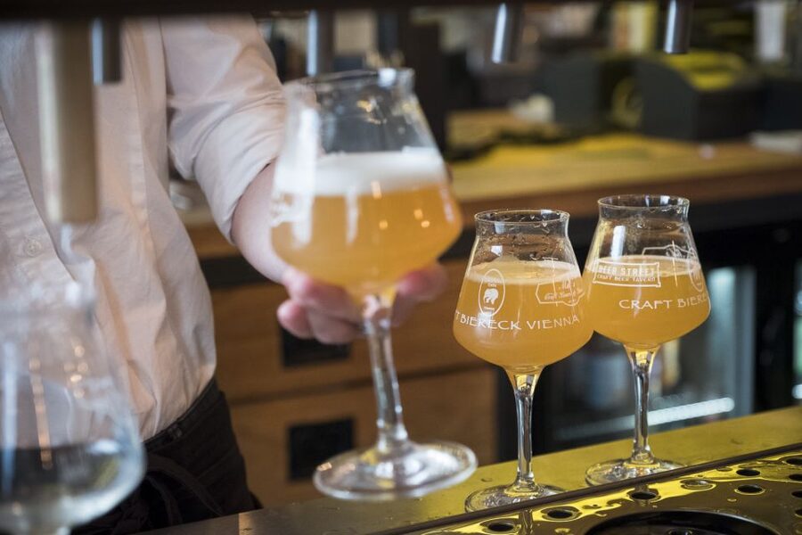 Vienna: Craft Beer Tasting Experience with Local Snacks - Beer-tasting skills you can actually use later