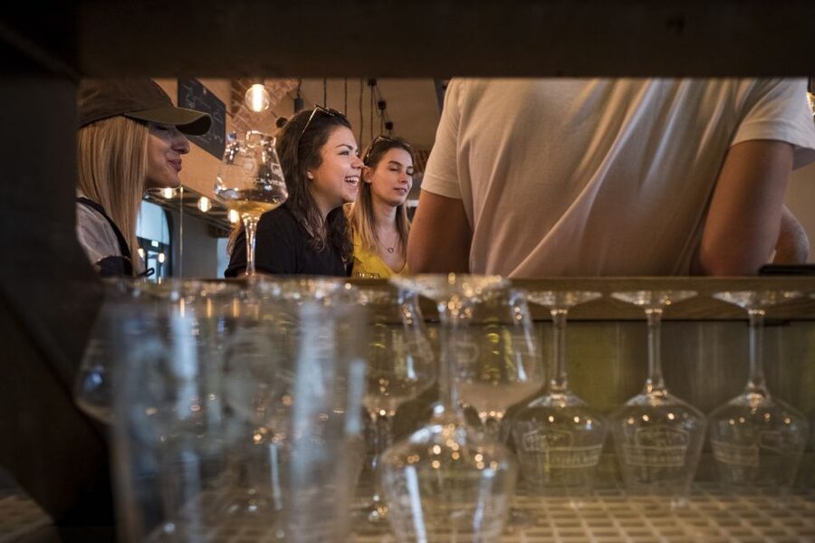 Vienna: Craft Beer Tasting Experience with Local Snacks - The 2-hour flow: history, tasting skills, then four craft beers
