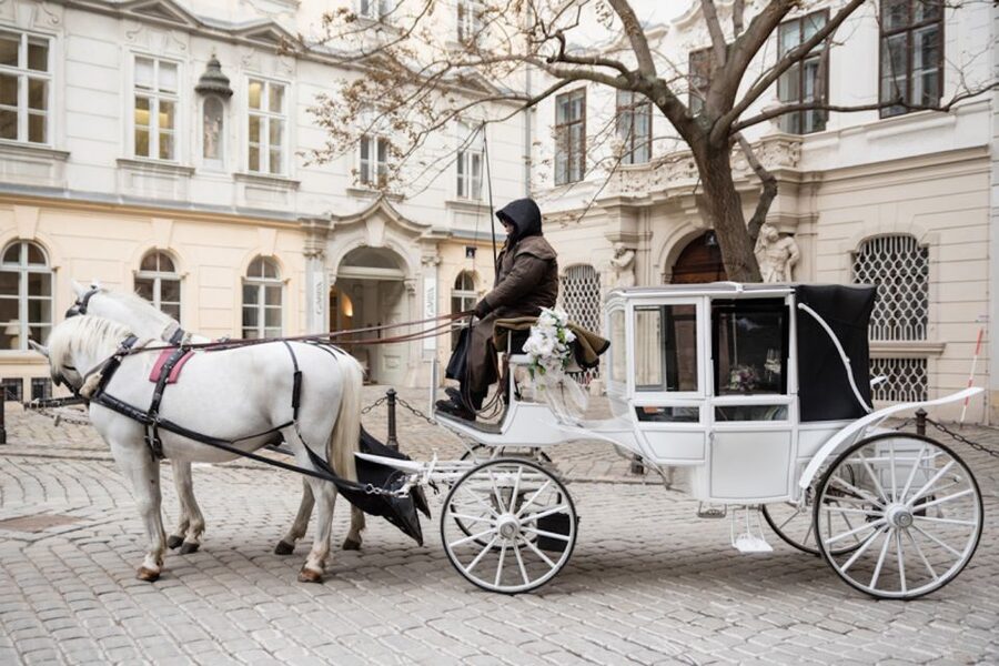 Vienna: Culinary Horse-Drawn Carriage Experience - Who Should Book This (and Who Might Skip It)