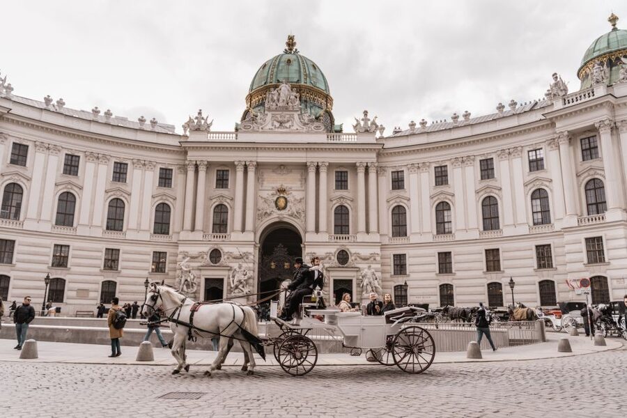 Vienna: Culinary Horse-Drawn Carriage Experience - What’s Included: Sparkling Wine, Regional Food, and the Butler Moment