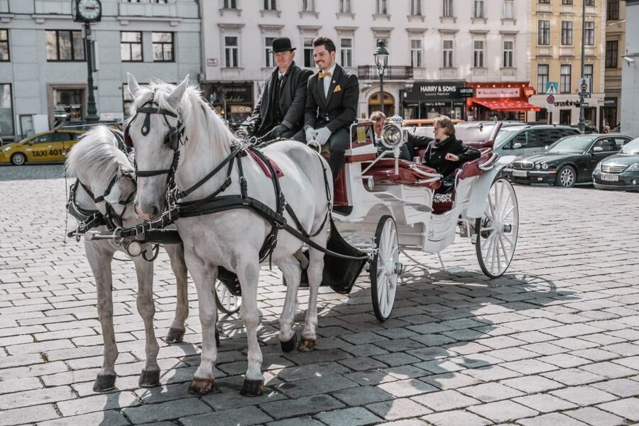 Vienna: Culinary Horse-Drawn Carriage Experience - The Route Feel: Old Town Landmarks Roll By Slowly