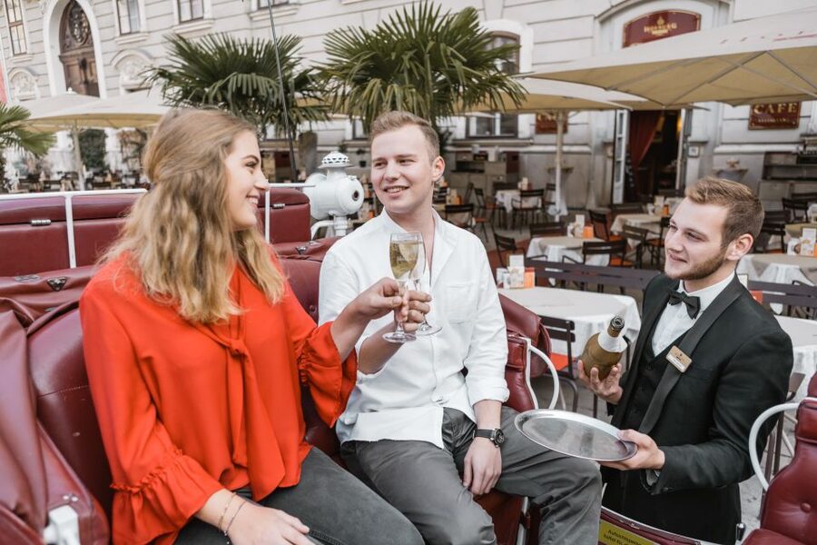Vienna: Culinary Horse-Drawn Carriage Experience - Coachman and Butler Stories: What the Narration Brings