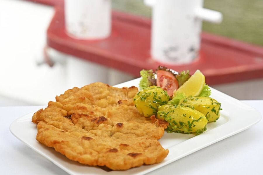 Vienna: Danube River Cruise w/ optional Viennese Specialties - Key Points Worth Knowing Before You Go