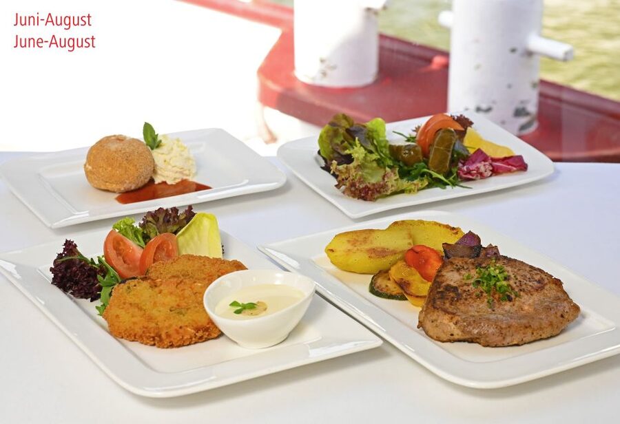 Vienna: Danube River Cruise w/ optional Viennese Specialties - Comfortable, Simple Touring (and How to Get the Most From It)