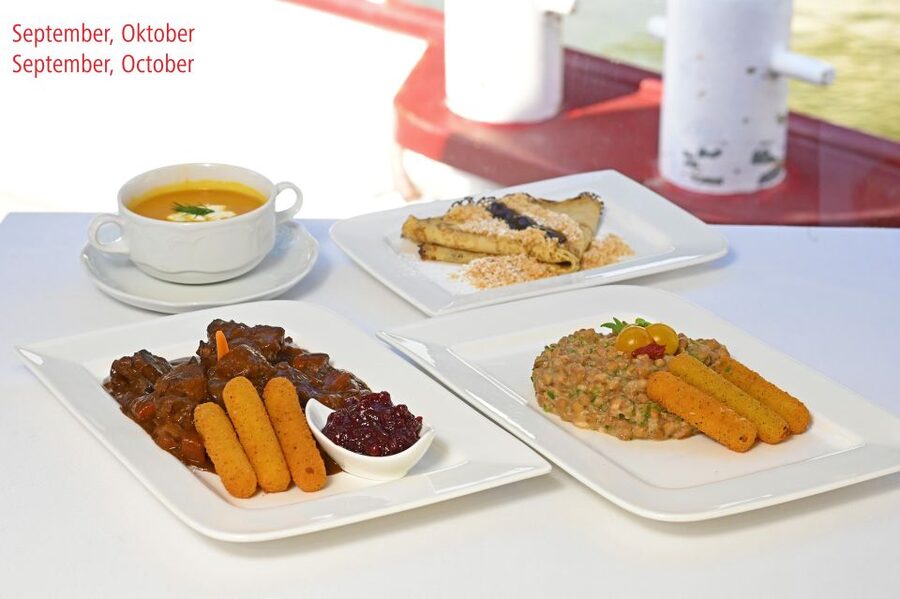Vienna: Danube River Cruise w/ optional Viennese Specialties - Choosing the 1.5 to 3.5 Hour Option (and What You Gain)