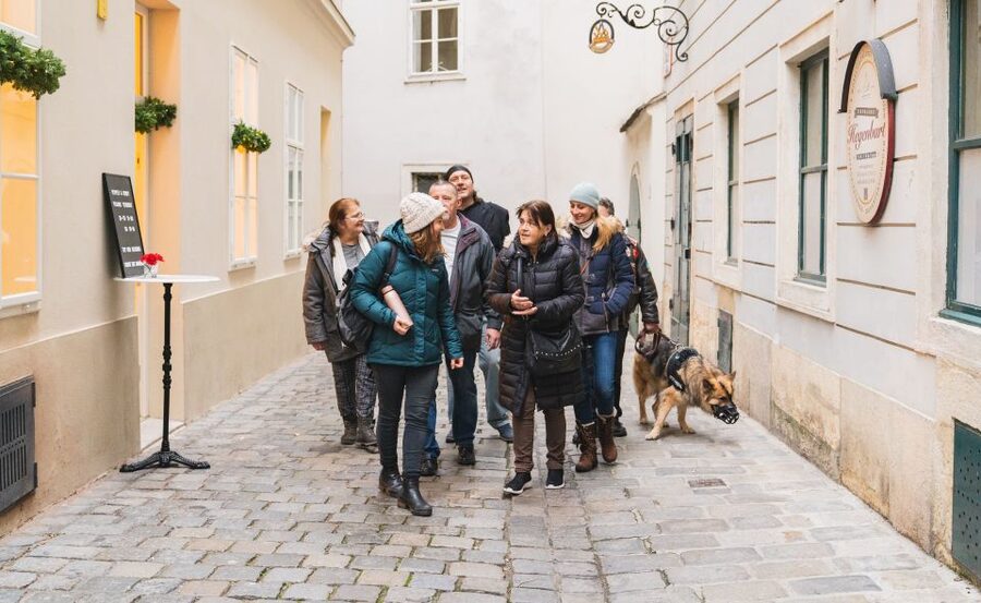 Vienna: Educational Walk Exploring Homelessness - Vienna’s splendor versus homelessness: what you’ll actually notice