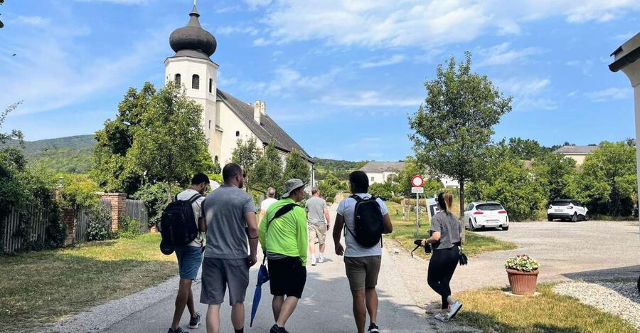 Vienna: Full-Day Vienna Woods Wine Tasting Tour - Key things I’d highlight before you go