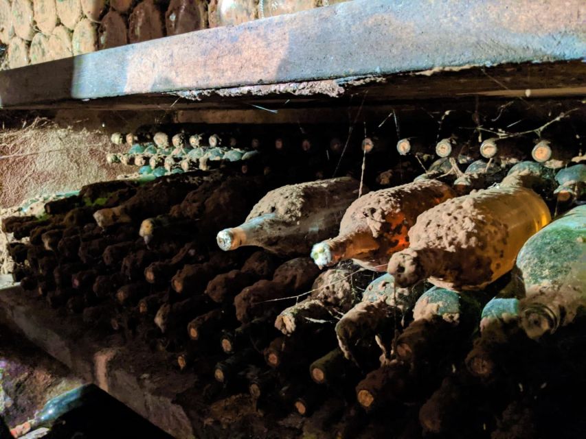 Vienna: Full-Day Vienna Woods Wine Tasting Tour - Who this fits best, and who should skip it