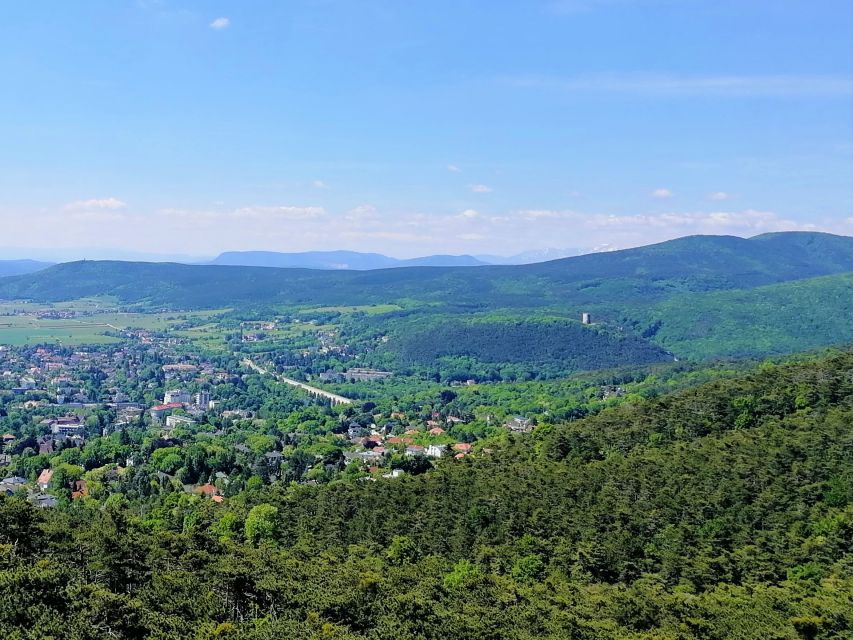Vienna: Full-Day Vienna Woods Wine Tasting Tour - Price and value: what you’re paying for at $187 per person