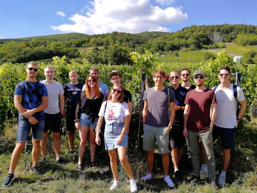 Vienna: Full-Day Vienna Woods Wine Tasting Tour - What to bring and how to dress for a day that runs outdoors